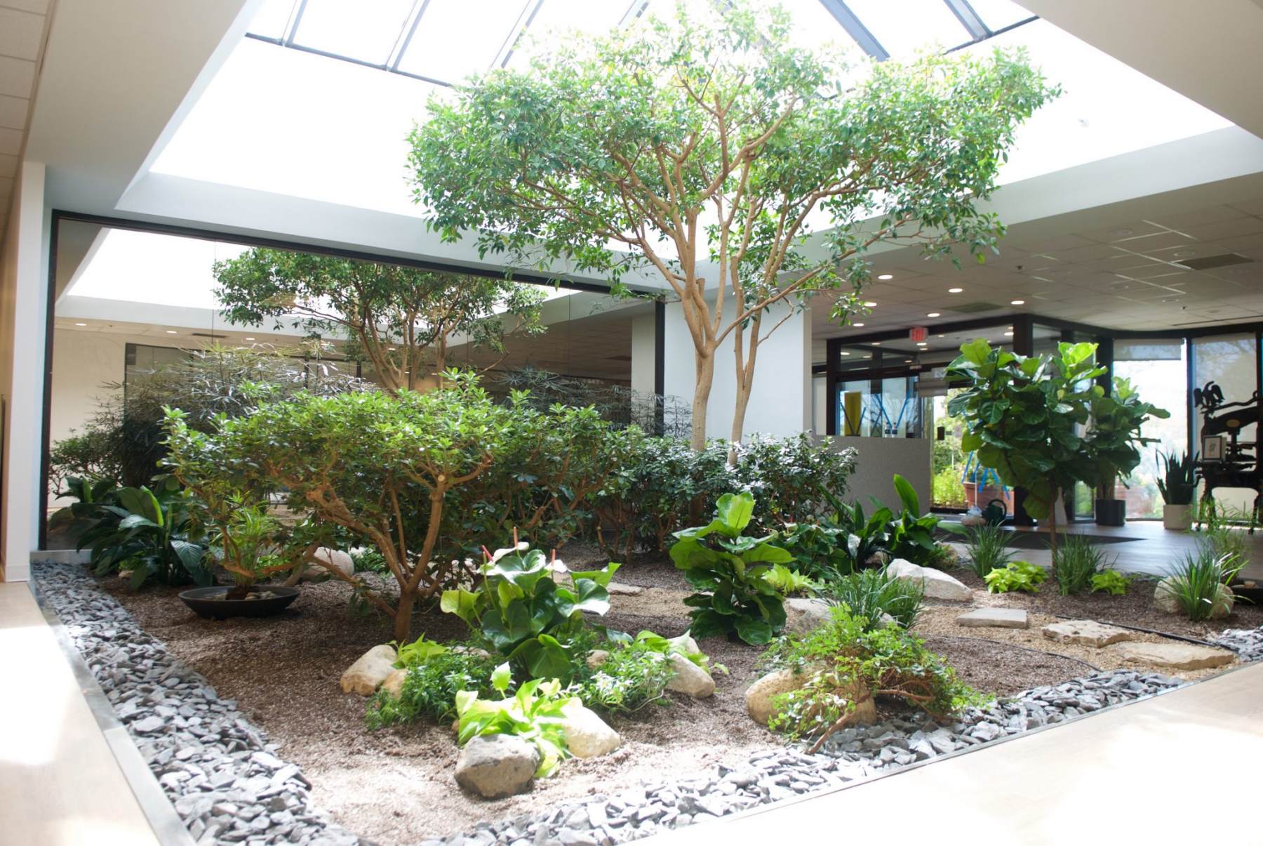 Bringing Nature Into Your Workspace
