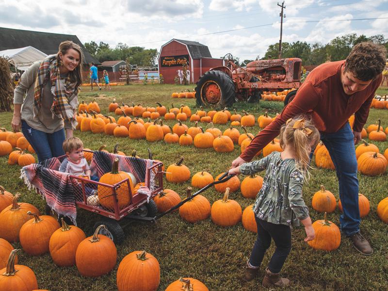 The Power of Local: Why Fall Festivals Are a Goldmine for Small Business Marketing