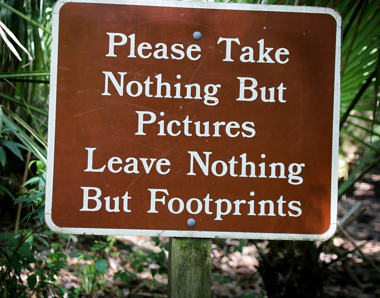 Explore Nature Responsibly: A Guide to Low-Impact Travel and Adventure